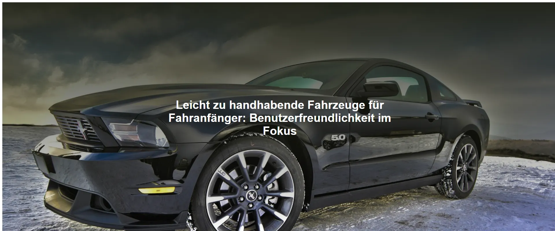 Leicht zu handhabende Fahrzeuge für Fahranfänger: Benutzerfreundlichkeit im Fokus