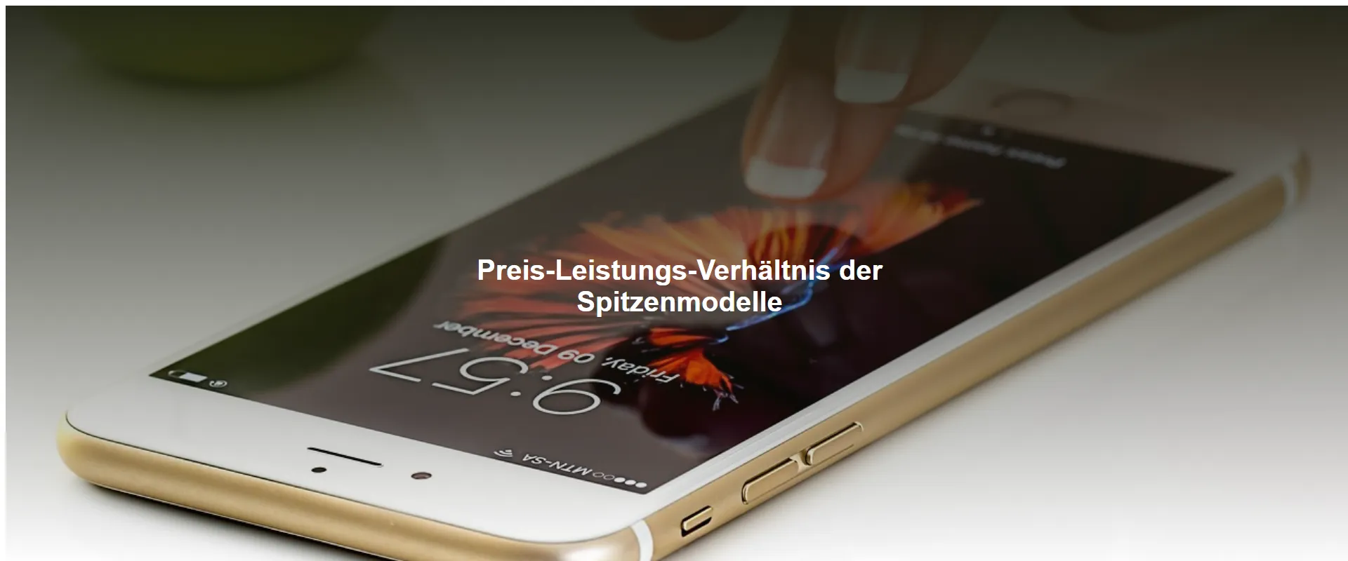 Preis-Leistungs-Verhältnis der Spitzenmodelle