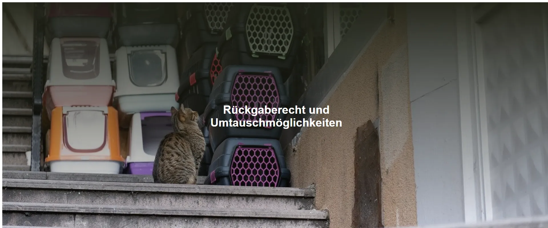 Rückgaberecht und Umtauschmöglichkeiten