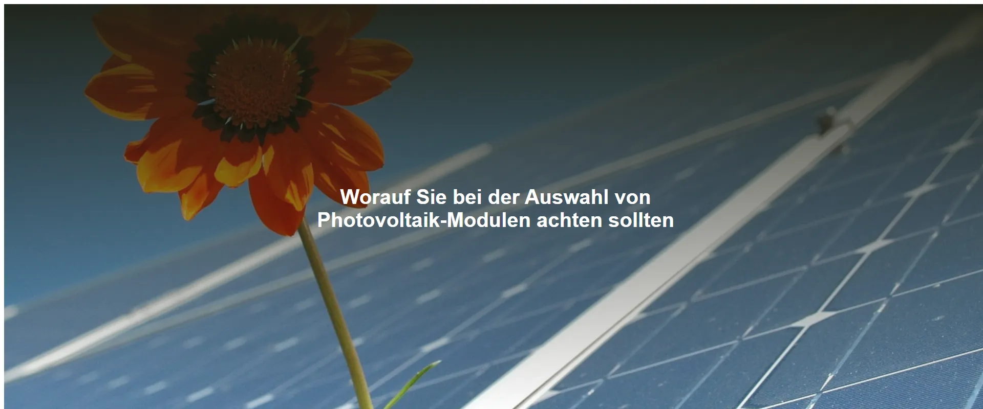 Worauf Sie bei der Auswahl von Photovoltaik-Modulen achten sollten